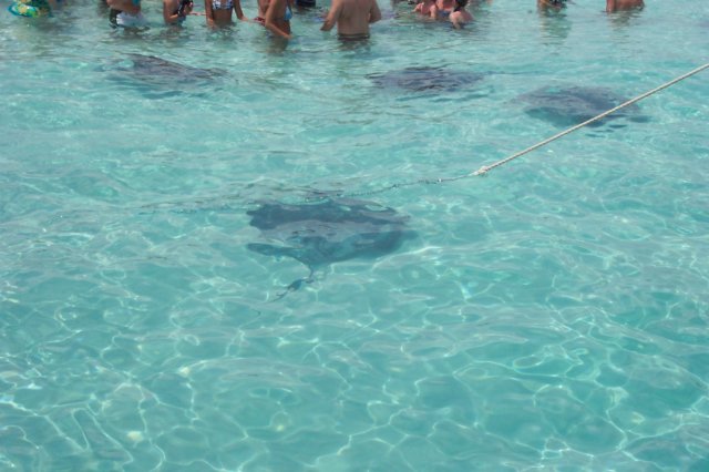 photo16.jpg