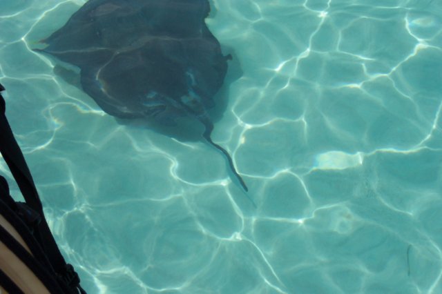 photo17.jpg